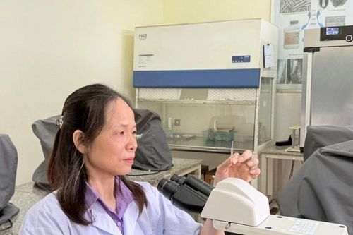 Nữ đoàn viên Công đoàn gieo 'mầm xanh' tri thức từ những nghiên cứu vì nông nghiệp bền vững
