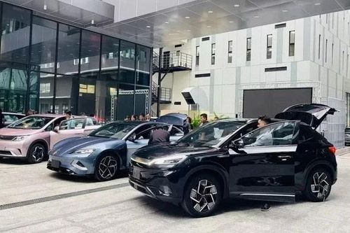 Xe năng lượng mới gặp khó vì Trung Quốc siết chặt chính sách