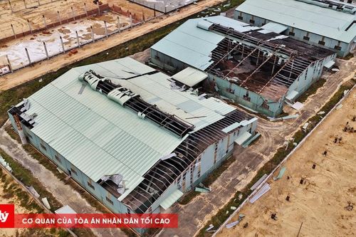 Gia Lai có hơn 50.200 nhà dân bị tốc mái, đổ sập do bão Kalmaegi