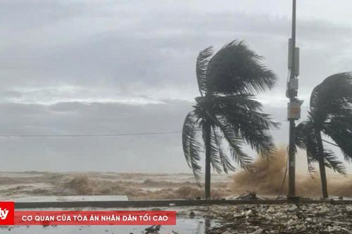 Bão số 14 Fung-wong tiến nhanh vào Biển Đông, Ban Chỉ đạo quốc gia phát công điện khẩn