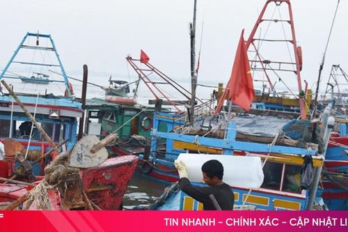 Ngư dân Hà Tĩnh hối hả vươn khơi
