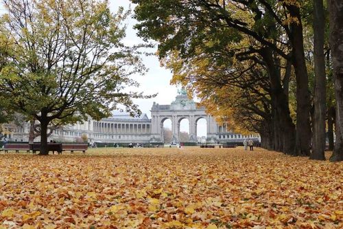 Mùa Thu vàng ở Cinquantenaire, nét dịu dàng của Brussels