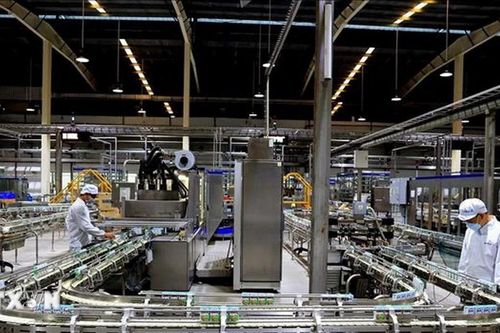 Hợp chất thay thế kháng sinh mở ra hướng đi bền vững cho ngành sữa toàn cầu