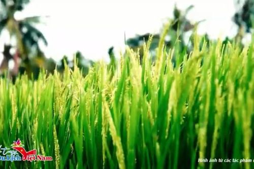 Tăng tốc về đích Cuộc thi video du lịch 2025: Hoàn thiện tiêu chí, sẵn sàng trao giải