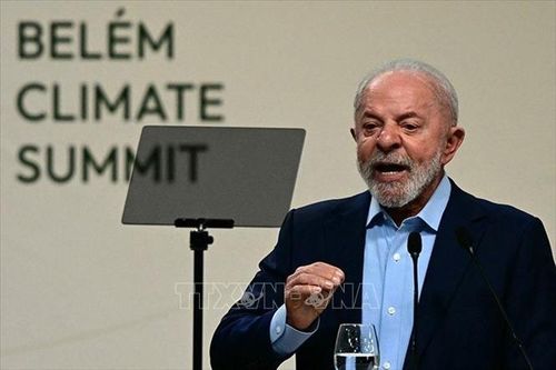 Khi than đá vẫn trụ vững ở Brazil giữa thời kỳ năng lượng tái tạo