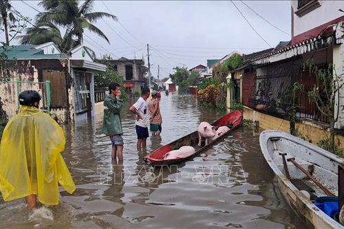 Bão Fung-wong gây thiệt hại nặng nề cho kinh tế Philippines