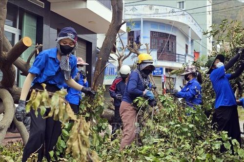 Tuổi trẻ Gia Lai hỗ trợ người dân sớm ổn định cuộc sống sau bão số 13