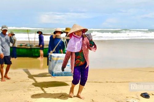 Ngư dân Quảng Ngãi vượt sóng dữ săn 'lộc biển' mùa biển động