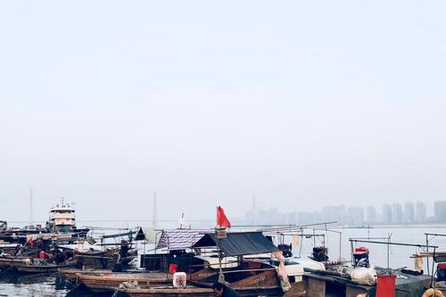 Trung Quốc: Chìm tàu cá ngoài khơi Sơn Đông, 8 người mất tích