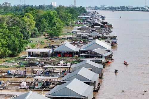 Cù lao Ông Hổ mùa nước nổi