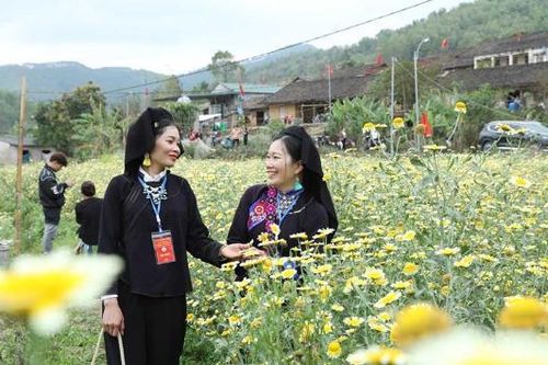 Tân Sơn: Giữ hồn bản cổ, dựng xây quê mới