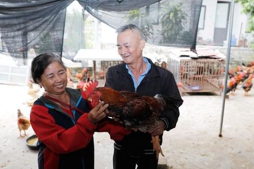 Nhã Nam giảm nghèo nhờ vốn vay ưu đãi