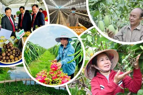 [Loạt Megastory] 'Tam nông' Đồng Nai trong hành trình xanh, bền vững (Kỳ 1)