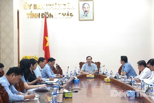 Đôn đốc tiến độ chuẩn bị Festival Hoa - Kiểng Sa Đéc lần II năm 2025