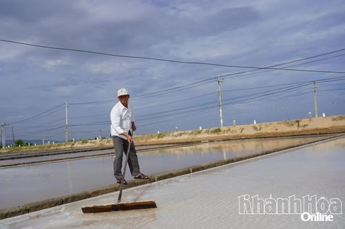 Hội Cựu chiến binh xã Ninh Hải: Phát huy phẩm chất 'Bộ đội Cụ Hồ'