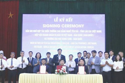 Hiệp hội Doanh nhân và Đầu tư Việt Nam - Hàn Quốc thúc đẩy hợp tác đào tạo và đầu tư tại Lào Cai