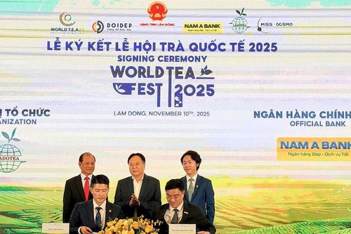 Lễ hội Trà Quốc tế 2025 – Sự kiện tầm cỡ thế giới tại Lâm Đồng