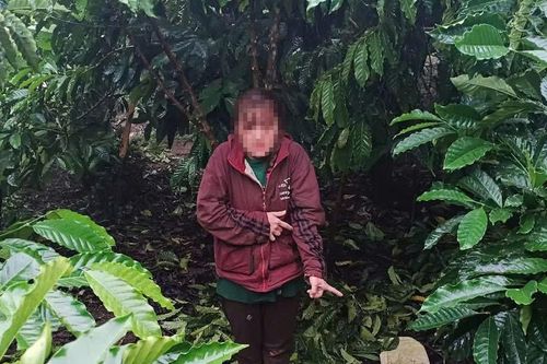 Bắt nhanh đối tượng trộm cà phê tại Phường 3 Bảo Lộc