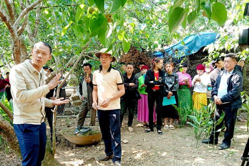 Thúc đẩy sáng tạo, chuyển giao khoa học kỹ thuật vào đời sống