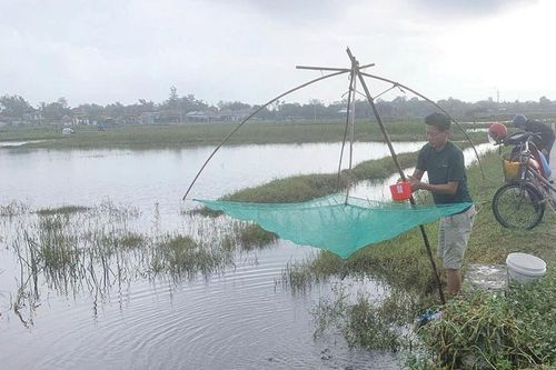 Cất rớ mùa nước nổi