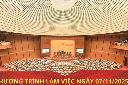 Kỳ họp thứ Mười, Quốc hội Khóa XV: Chương trình làm việc ngày 10/11