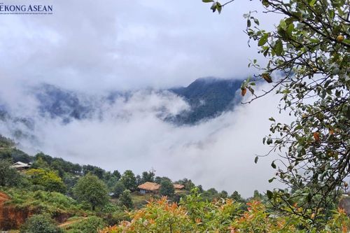 Nậm Nghiệp – Khi người Mông làm chủ kinh tế bản địa