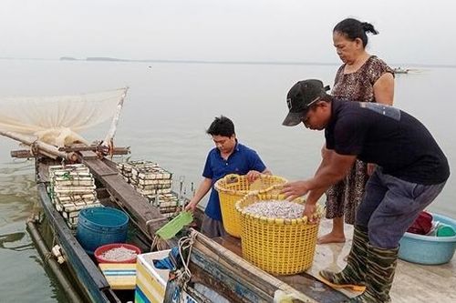Bồng bềnh sông nước mưu sinh