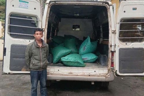 Bộ đội biên phòng tỉnh liên tiếp phát hiện, thu giữ gần 1 tấn cau khô