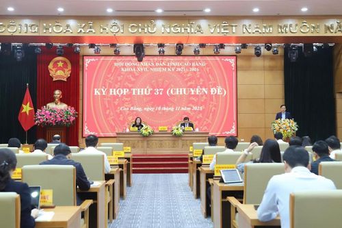 Kỳ họp thứ 37 (chuyên đề) HĐND tỉnh khóa XVII, nhiệm kỳ 2021 - 2026
