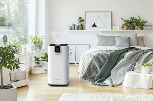 Chống nồm ẩm bằng máy hút ẩm, hiệu quả có đáng tiền?