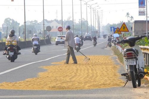 Chặn đường phơi thóc - cái bẫy giết người nhân danh thói quen