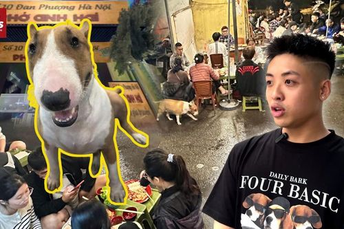 Cậu Vàng Phở Anh Hai khiến quán nướng Hà Nội 'cháy bàn' sau 1 đêm