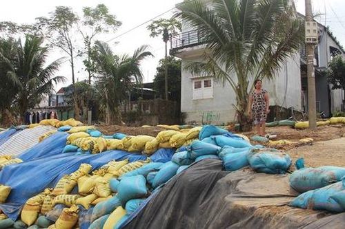 Sạt lở đe dọa 'nuốt' nhà dân, hàng trăm hộ ven sông thấp thỏm lo sợ