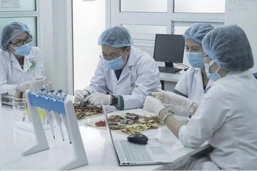 Y dược cổ truyền Việt Nam vươn tầm Thế giới: Từ di sản văn hóa đến giá trị khoa học toàn cầu