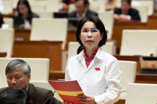 ĐBQH: Luật Phòng bệnh cần đi trước một bước để bảo vệ sức khỏe nhân dân