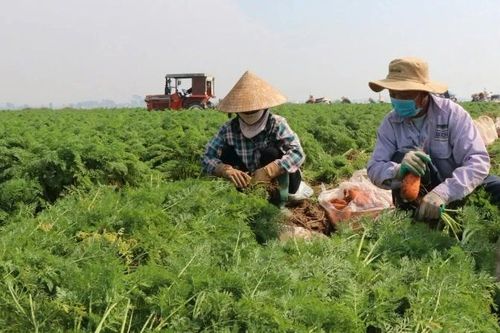 Duy trì ổn định nguồn cung nông sản