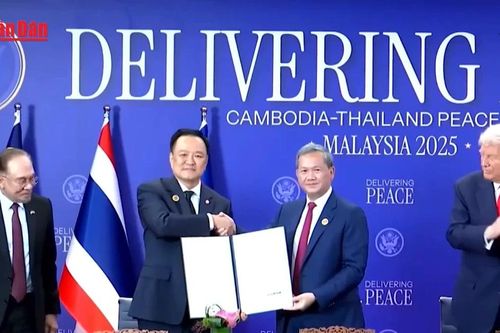 Campuchia lên tiếng về việc Thái Lan đình chỉ thỏa thuận hòa bình