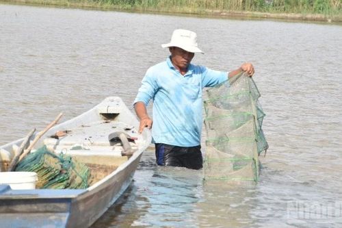 Săn bắt thủy sản mùa nước nổi ở cuối nguồn