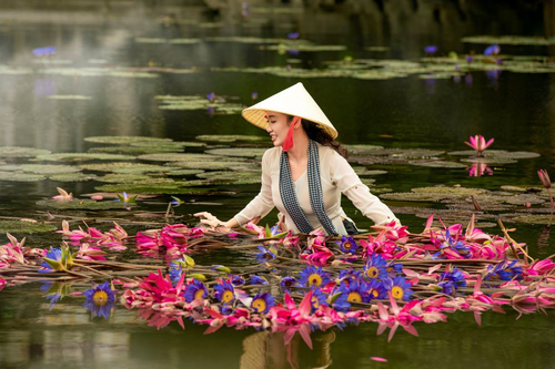 Mùa hoa súng ở Ninh Bình