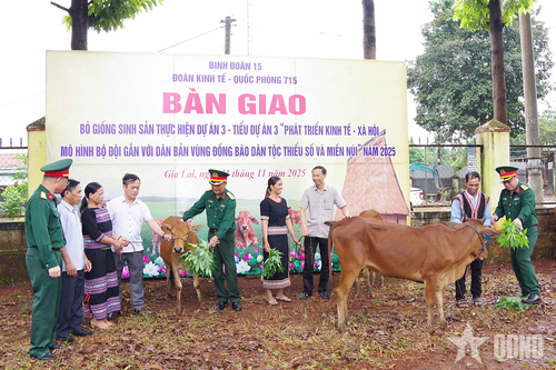 Đoàn Kinh tế - Quốc phòng 715 (Binh đoàn 15): Bàn giao bò giống cho hộ nghèo, cận nghèo