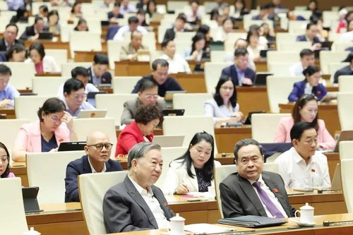 Đề nghị mở rộng việc cai nghiện bắt buộc cho người từ đủ 12 tuổi đến dưới 18 tuổi