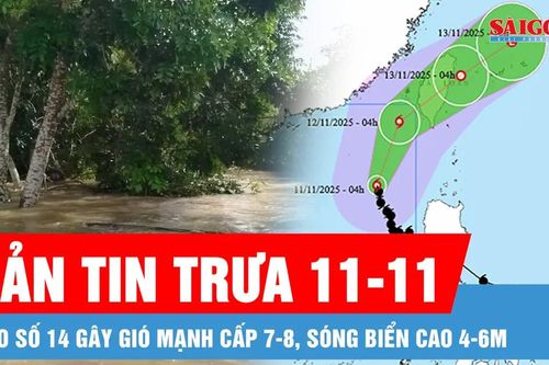 Bản tin trưa 11-11: Bão số 14 gây gió mạnh cấp 7-8, sóng biển cao 4-6m