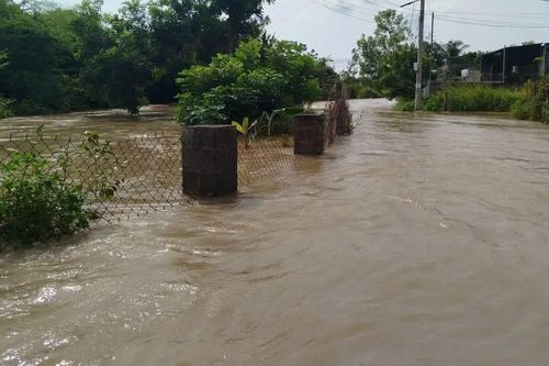 Hàng chục nhà dân ở xã Hàm Liêm (tỉnh Lâm Đồng) bị ngập gần 1m