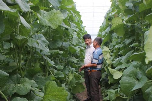 TPHCM: Đồng hành cùng nông sản sạch giai đoạn 2025 – 2030