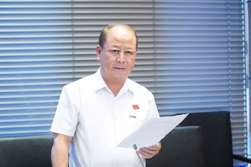 ĐBQH đề nghị chấm dứt ưu đãi nếu dự án vi phạm, chậm triển khai