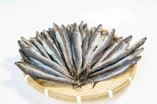 Loại cá xưa rẻ bèo, nay nửa triệu/kg vẫn đắt hàng