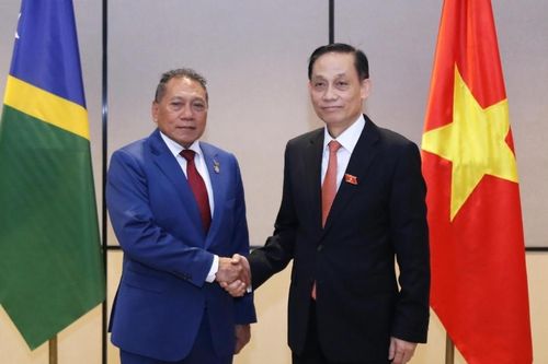 Bộ trưởng Ngoại giao Lê Hoài Trung hội đàm với Bộ trưởng Ngoại giao và Ngoại thương Quần đảo Solomon Peter Shanel Agovaka