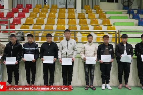 Khởi tố 9 đối tượng, làm rõ 2 vụ cướp có yếu tố nước ngoài