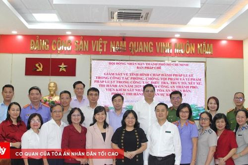 Hội đồng nhân dân TP.HCM tăng cường giám sát, hỗ trợ các cơ quan tư pháp