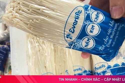 Nấm 'ngoại' giá rẻ tràn lan chợ dân sinh, người trồng nấm Hà Tĩnh lao đao